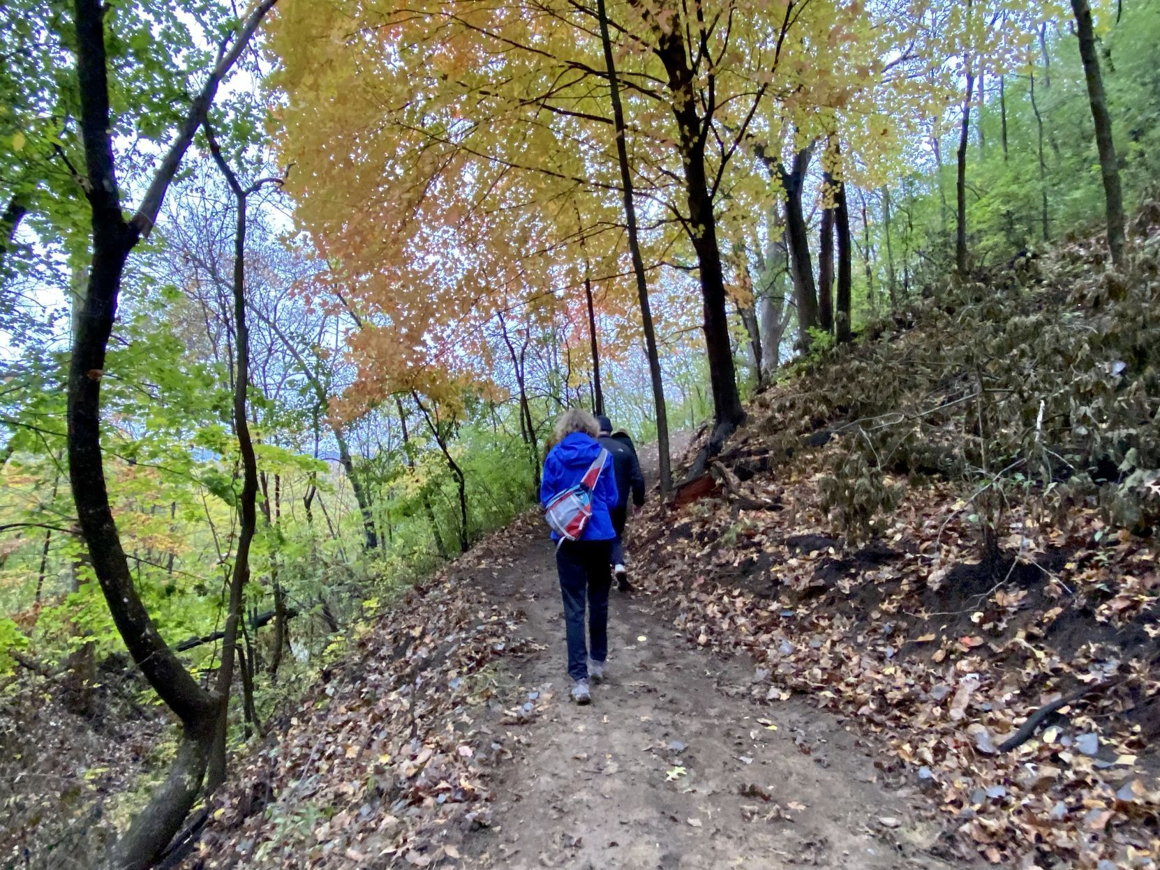Miller Bluff Trail opens